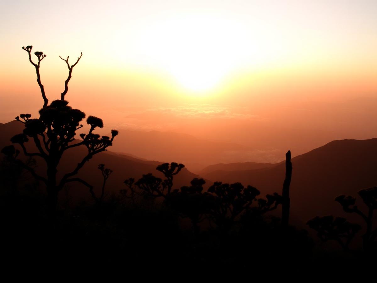 Sunrise over the slopes of Kilimanjaro